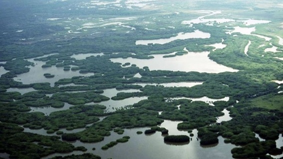 Una reserva natural nacional para proteger las islas 